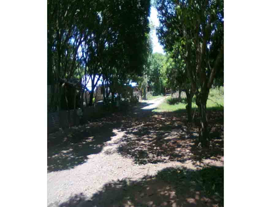Foreclosed Vacant Lot for Sale in Santa Rosa, Nueva Ecija